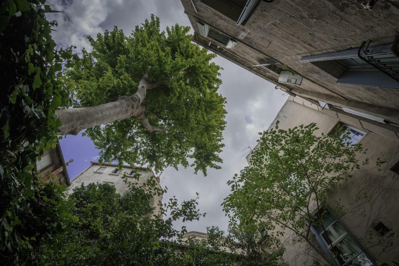 Les Jardins De L'Ecusson - Premiere Conciergerie Apartment Montpellier Ngoại thất bức ảnh